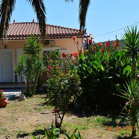 Garden View Apartments アナクソス エクステリア 写真