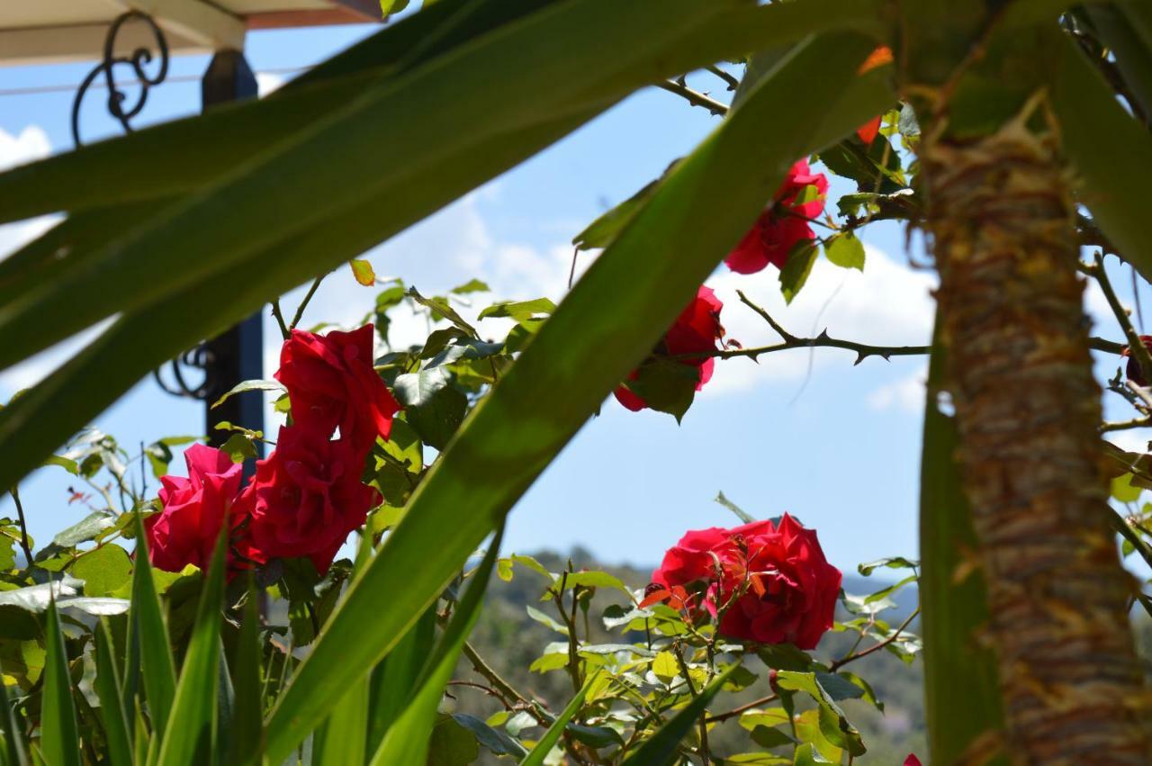 Garden View Apartments アナクソス エクステリア 写真